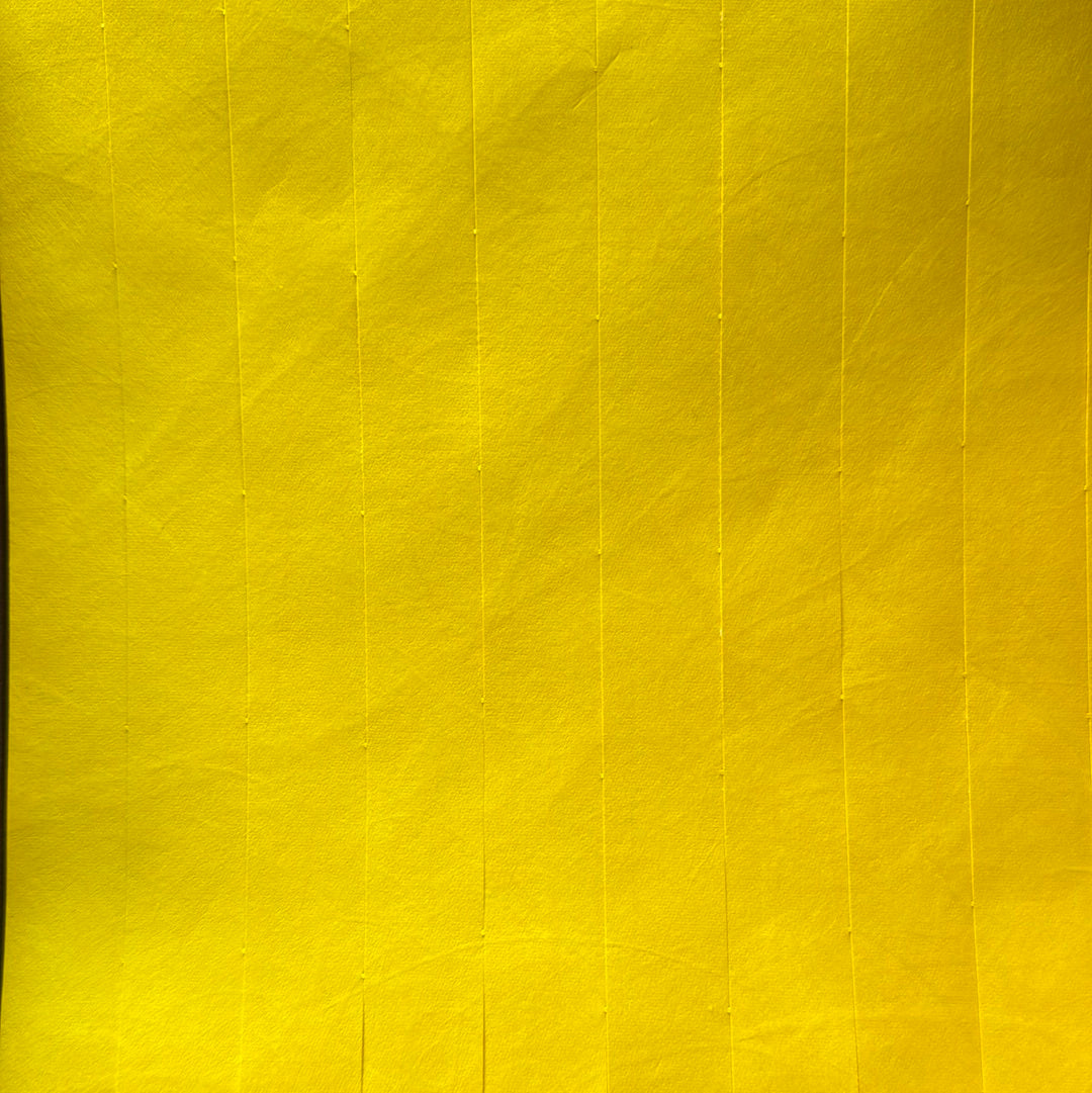 1000 Tystar-Eintritts-Kontroller, 25 cm